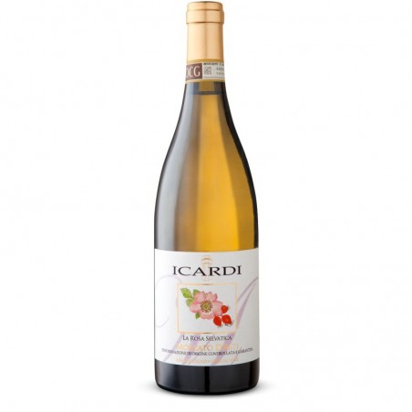 Icardi La Rosa Selvatica Moscato słodkie musujące