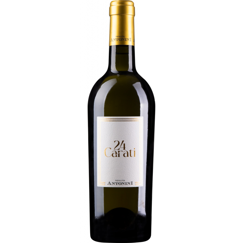 Butelka Tenuta Antonini 24 Carati Bianco – wino białe wytrawne