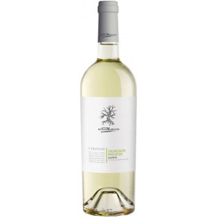 San Marzano I Tratturi Sauvignon-Malvasia białe wino wytrawne