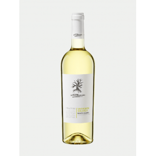 Butelka wina San Marzano I Tratturi Sauvignon-Malvasia