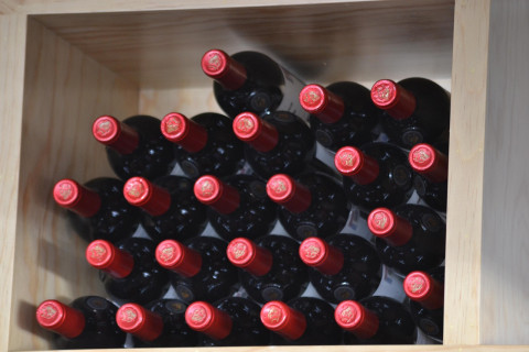 Jakie wino wybrać na początek? Sprawdzony przewodnik dla początkujących