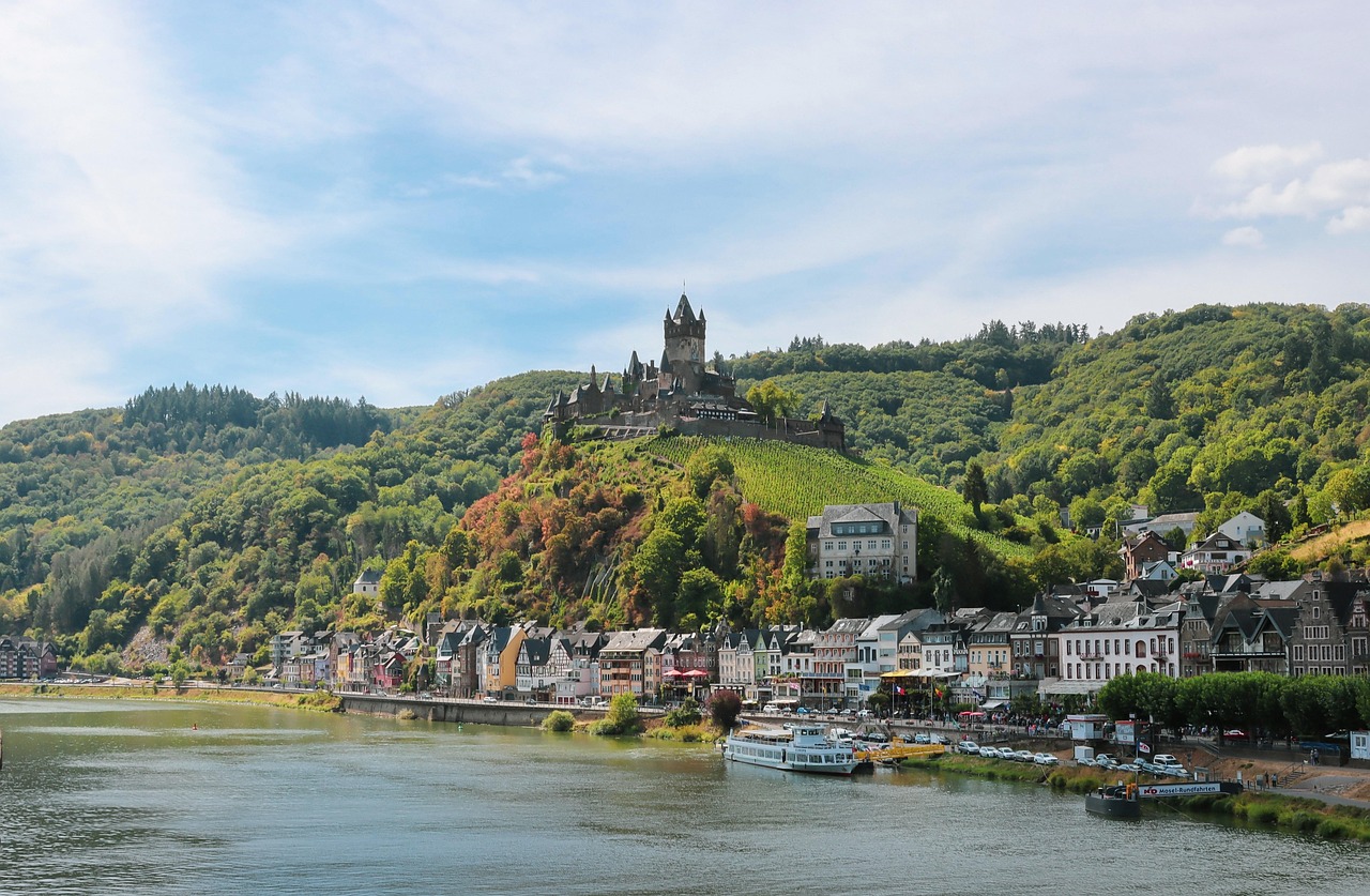 Regiony winiarskie świata – kompletny przewodnik po krajach i apelacjach