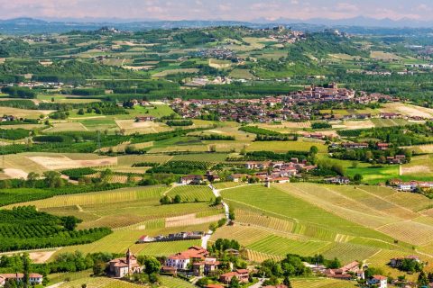 Piemont - Barolo, Barbaresco i nebbiolo