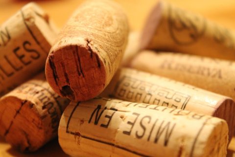 Veneto - Amarone i Valpolicella