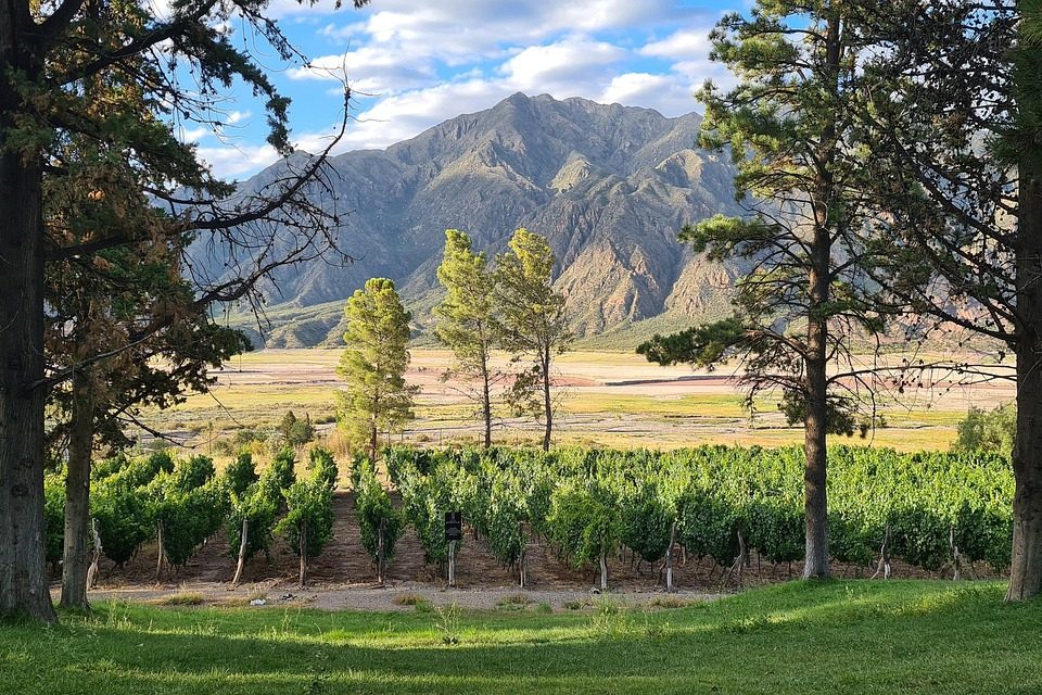 Mendoza – argentyński malbec