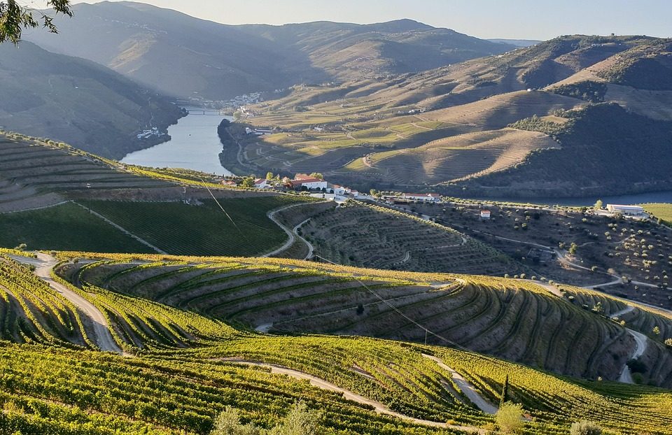 Portugalia – Douro i porto
