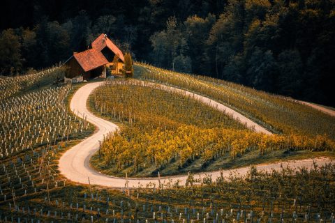 Węgry - tokaj i wina słodkie