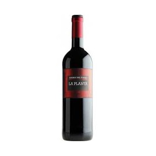 La Planta Ribera Del Duero