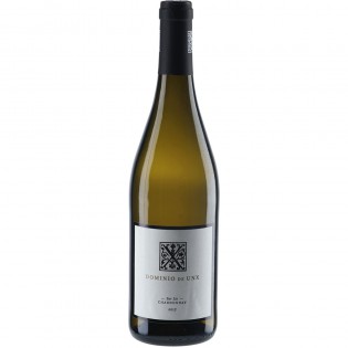 Dominio de Unx Chardonnay San Martin