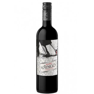 Bodega Norton Lo Tengo Malbec Mendoza