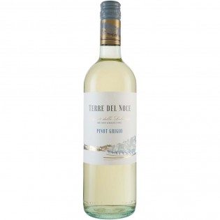 Terre del Noce Pinot Grigio